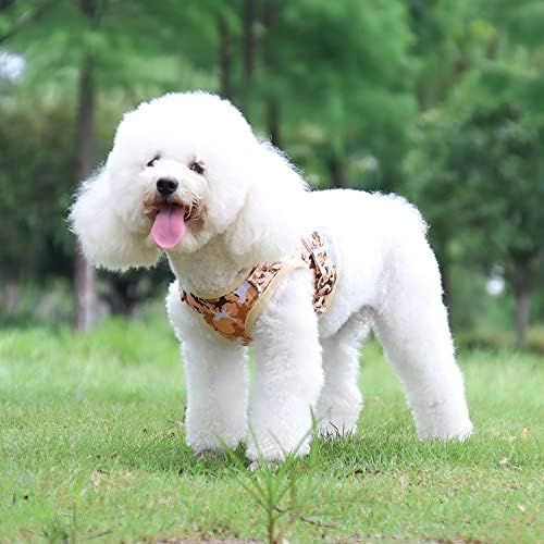 Arnês de cachorro pequeno e conjunto de trela, poliéster Mesh Reflexive Dog Vest Arness