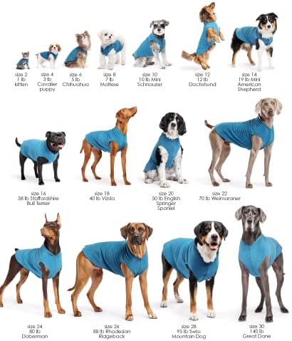 PAW DE OURO DULUTH POLLOVER DOPO DOPO DOPO-Roupas de cachorro macias e quentes, suéter de estimação