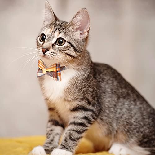 4pcs colares de gato de breakaway com bell tie bell tiche fofo gato gato colarinho de gatinho ajustável colares
