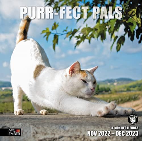 PALS RED RUBLER PURR-FECT CATS | 2023 Calendários mensais de parede suspensos | 12 x 24 aberto | Papel brilhante