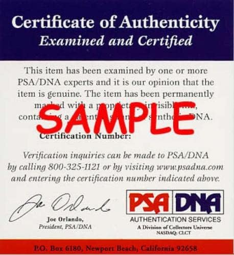 Gary Carter PSA DNA assinado 8x10 Expos