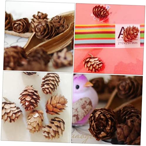 ABAODAM 50 PCS Small Pine Pine Pine Fosted Pines Pine Cone Adornment Realistic Pines Props Artificial