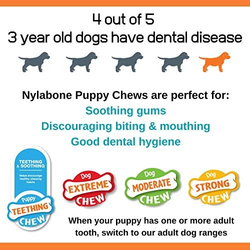 Nylabone Puppy Alternative Dog Chew Toy Beef sabor pequeno/regular - até 25 libras.