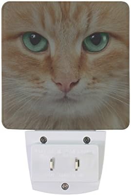 NAANLE Conjunto de 2 fofo Kitten Red Kitten Retrato Head Sensor Auto Led Dusk To Dawn Night Light Plug