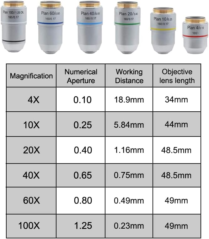 Acessórios para microscópio de laboratório Microscópio Auxiliar lente 4x 10x 20x 40x 60x 100x