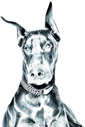 Doberman, lápide oval de azulejo de cerâmica com a imagem de um cachorro
