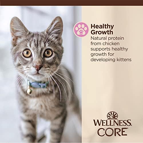 Wellness Core Tiny Tasters Comida de gatinho molhado, alimentos naturais completos e equilibrados, feitos com carne de verdade, bolsa de 1,75 onças, 12 pacote