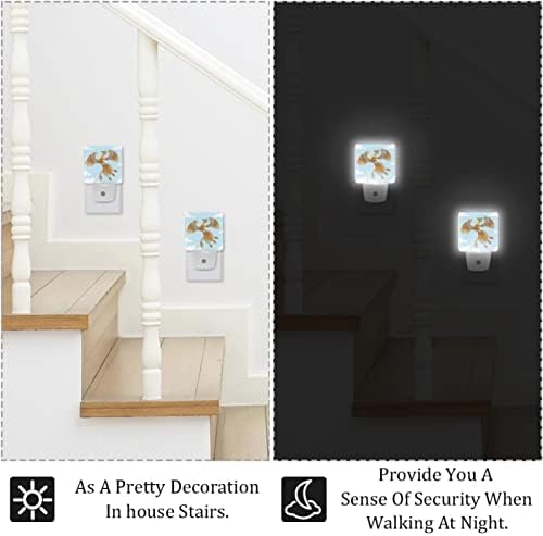 Conjunto de 2 luzes noturnas LED se conectam à parede decorativa de Phoenix e Sky Kids Night Light Auto-Dusk-to-Dawn