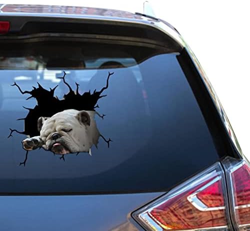 Bulldog Gift Bulldog Stickers Divery Cars adesivos para citações Decalques legais de vinil automático
