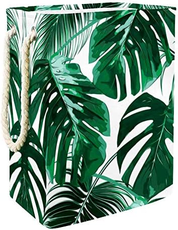Palma tropical de folhas tropicais de folhas de jungla do padrão floral grande banda de armazenamento de armazenamento
