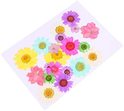 Excel Heart Kits de unhas Ornamento artesanato natural A amostra de flores prensas secas para artesanato