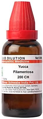 Dr. Willmar Schwabe Índia Yucca filamentosa Diluição 200 CH garrafa de 30 ml de diluição