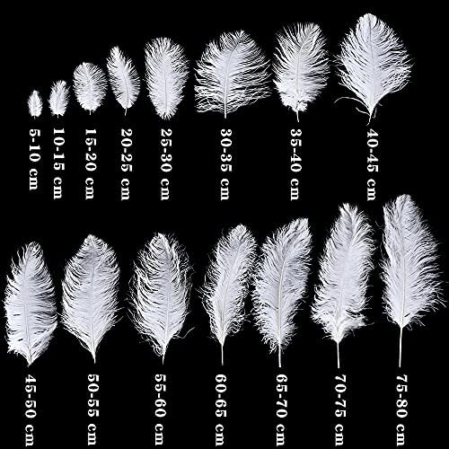 Pumcraft Feather for Decor Jóias Diy 10pcs/Lote Elegante Avestruz Branca Feathers 15-75cm para artesanato