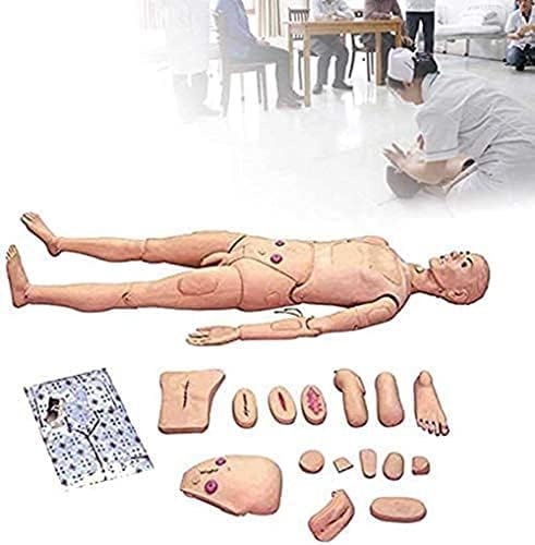 ZQHJ Multifuncional simulador de atendimento ao paciente masculino e feminino Modelo de treinamento