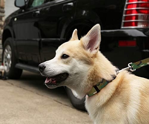Colarinho de cães para animais de estimação de alces - colares de estimação ajustáveis ​​estampados, feitos