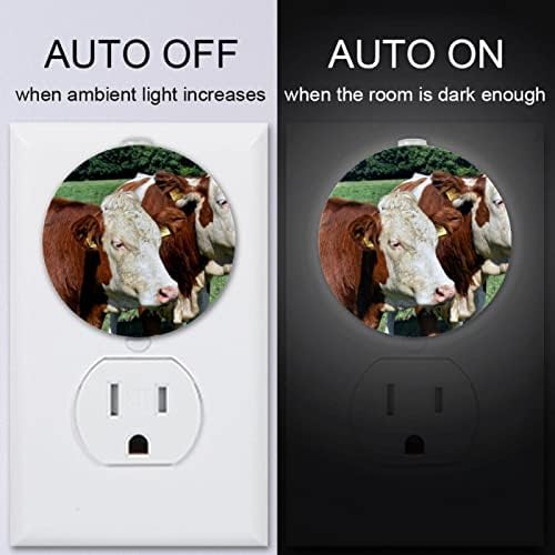 2 Pacote de plug-in Nightlight Night Night Light Animal Cattles Pasture Nature com sensor do anoitecer