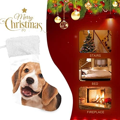 Meias de Natal de Alaza Beagle Classic Classic personalizadas grandes decorações de meia para férias em