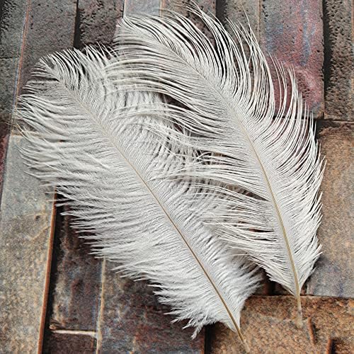 10 PCS Feathers de avestruz branca 6-8 polegadas/15-20 cm Festa de casamento de aniversário da festa