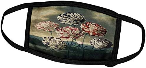 3drose florene vintage - 1807 Gravura de flores montanhas n céu.jpg - máscaras faciais
