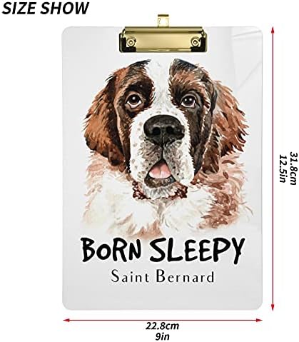 Saint Bernard Dog Plástico Placas de clipes com clipe de metal Tamanho da letra da área de clipe placas