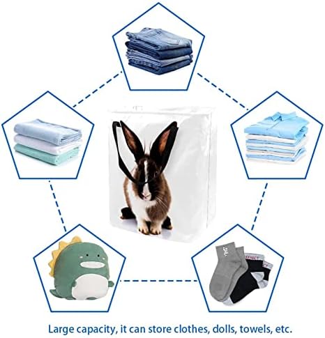To Bunny Bunny Print Collapsível Roundry cesto, 60l Bestas à prova d'água de lavanderia de roupas de