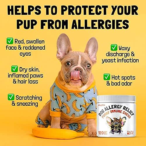 Legitpet Allergy Relief Chews para cães e apoio imunológico com algas, colostro e abelhas 120 mastigas macias