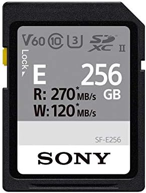 Sony E Série SDXC UHS-II CARD 256GB, V60, CL10, U3, MAX R270MB/S, W120MB/S, BLACK, PEQUENO