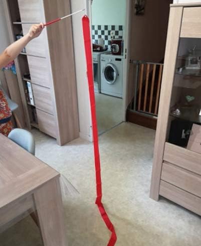 Floratek Dance Ribbon Streamer, 10 pack 4m Ritmic Gymnastic Silk Ribbons Wands Hastes para crianças