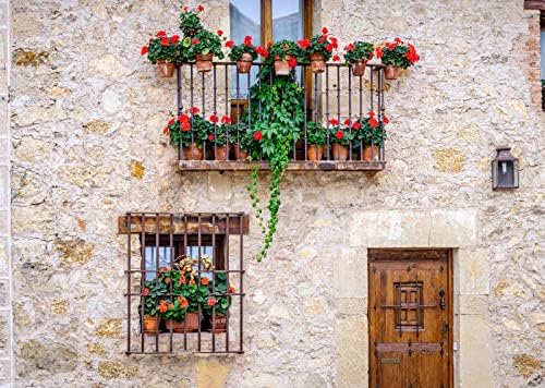 LOCCOR FASTER 15X10FT CENTRO DE Cidade Espanhola para Fotografia Casa Rural Janelas com Flores Antecedentes Decorações