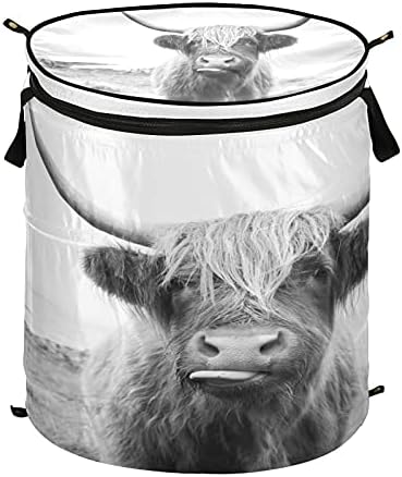Xigua engraçado Scottish Highland Cow Popup Laundry Tester, cesta de roupas sujas portáteis dobráveis ​​com tampa