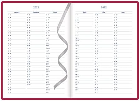 Letts Verona Weekly Planner, 12 meses, janeiro a dezembro de 2022, semana a vista, 8,25 x 5.625, rosa