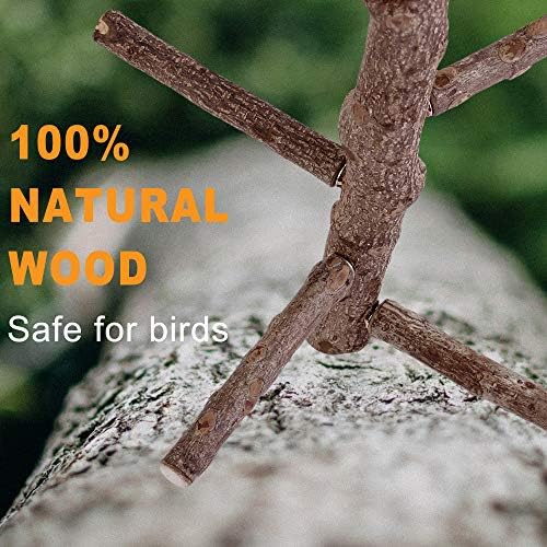 FILHOME Bird Pold Stand Toy, Natural Wood Parrot Police Ponto Bircamento Branch Acessórios Perch