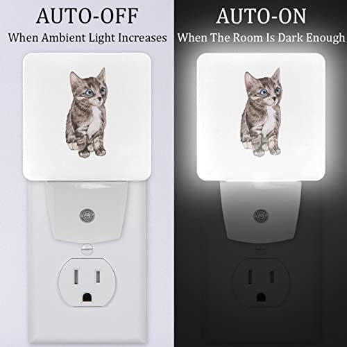 Adorável Painted Cat-01 LED Night Light, Kids Nightlights for Bedroom Plug in Wall Night Lamp Brilho ajustável