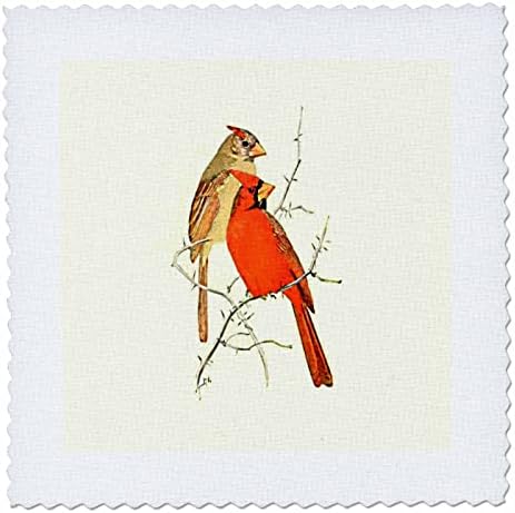 3drose vintage pássaro impressão cardeal vermelho ilustração masculina e feminina. - Quilt quadrados