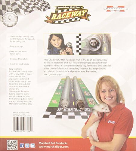 Marshall Pet Products Cruzing Critter Raceway Toy para animais de estimação