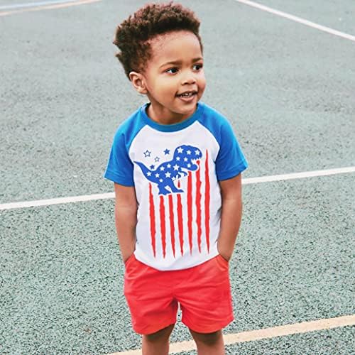 Camisas de dinossauros de meninos pequenos camisetas top top rex dino dino bebê bandeira americana roupas