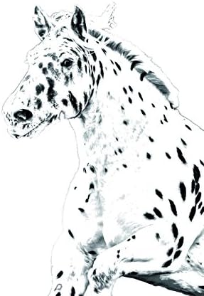 Art Dog Ltd. Noriker, lápide oval de azulejo de cerâmica com uma imagem de um cavalo