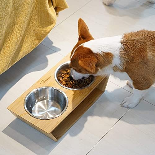 HB alimentador de animais de estimação Aço inoxidável cachorro e gato tigelas alimentando uma tigela