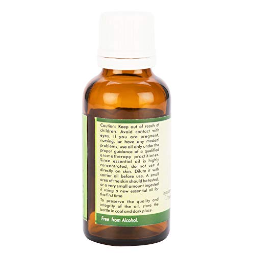 R V Essential Pure Vanilla Essential Oil 50ml - Vanilla Planifolia