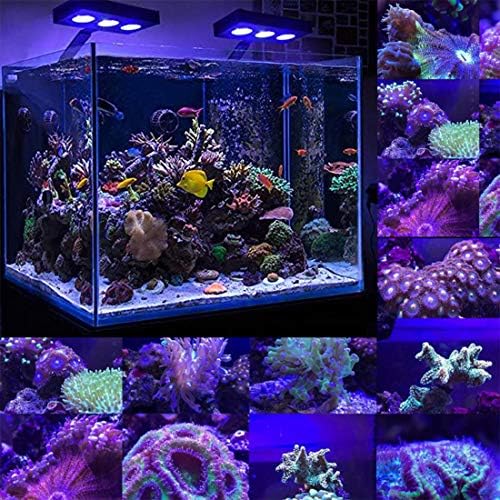 Luz de LED de recife de aquário de bate -papo de corais, lâmpada de luz de água de água salgada