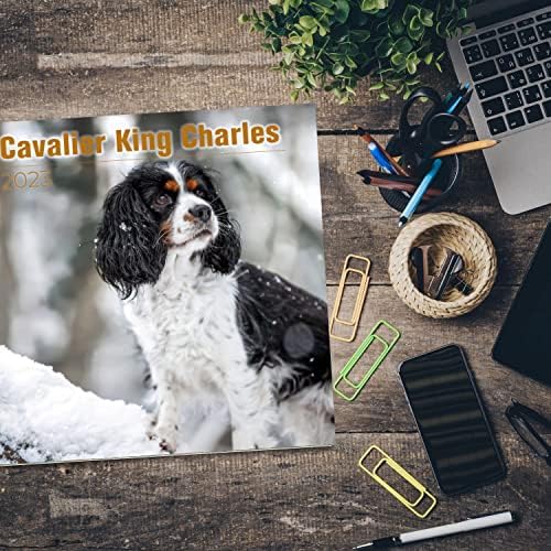 2022 2023 Cavalier King Charles Calendar - Caso de cães Calendário mensal de parede - 12 x 24 Open - Papel sem