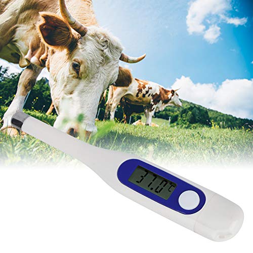Termômetro de animal termômetro veterinário Termômetro eletrônico LCD Digital para gado Cavalos de ovelha de