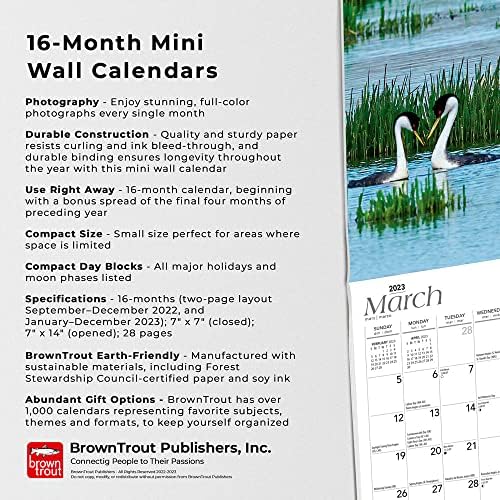 Oregon selvagem e cênica | 2023 7 x 14 polegadas Mini calendário de parede mensal | BrownTrout |