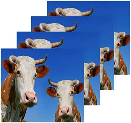 Farmhouse Vacas de lavar 12x12in Conjunto, 6 embalagem de algodão absorvente Toalha quadrada pratos de
