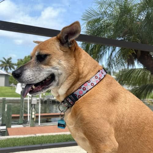 Aloha Dog Co Collar Tropical Floral Hawaii Personalizado Soft confortável colares básicos ajustáveis ​​para