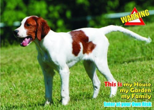 Indigos UG Atenção - Cuidado/Fun Sign Dog Irish Red e White Setter Dog para sua casa ou casa SF1590