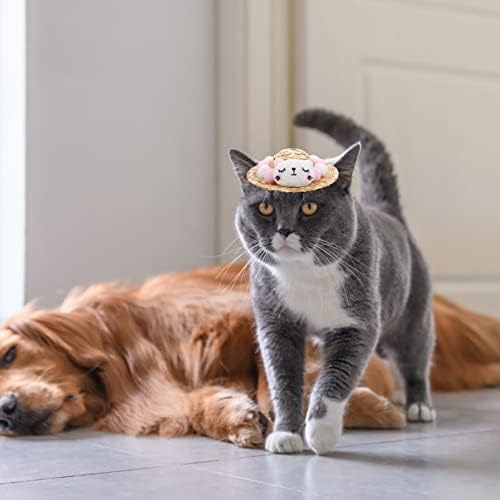 Mini Chapéus de festa Cachorro Cato Cato Sun Hat: Cat Bear Pet Sun Cap com cinta ajustável Hawaii