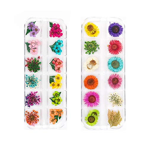 Uoromine Flowers Dried Nail Art Design fornece decoração