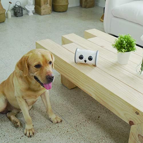 Skymee Owl Robot, Pet Camera Treat Dispenser Interactive Toy for Dogs Cats com controle de aplicativo