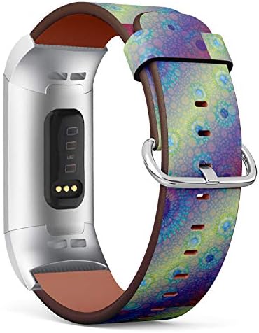 Compatível com Fitbit Charge 4, Charge 3, Charge 3 SE - Substituição de pulseira de pulseira de pulseira